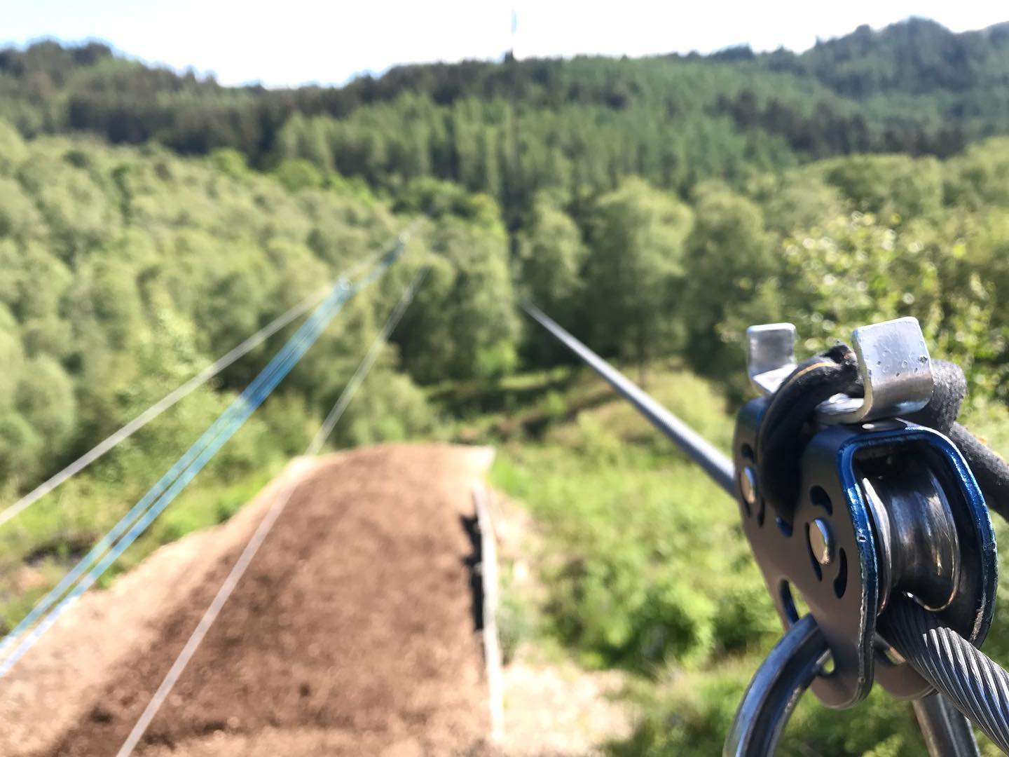 zip wire at Go Ape Aberfoyle